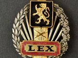 a close up of a badge with a lion on it