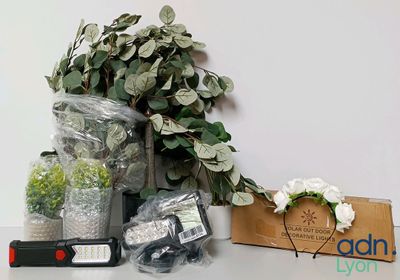 a plant that is sitting on a table next to a box of flowers