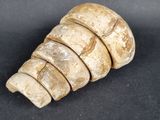 a small piece of stone that has been cut into pieces