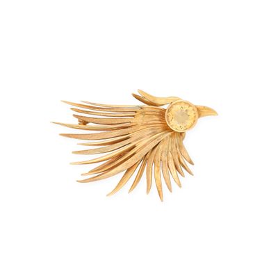 un oiseau qui vole dans les airs, les ailes déployées