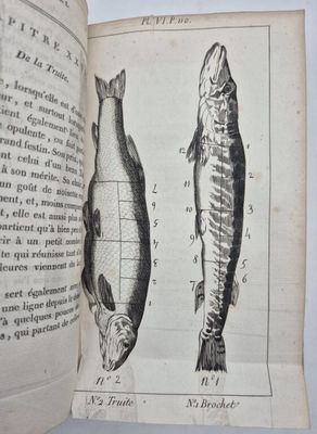 an old book with a fish and a fish head on it
