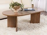 a coffee table with a potted plant on top of it