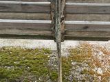 a wooden bench that is sitting in the grass