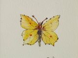 painting of a yellow butterfly on a white paper with a red spot
