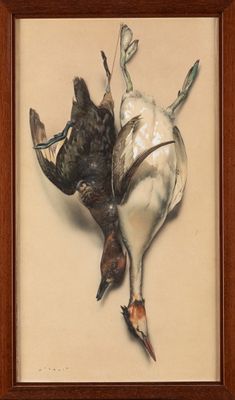 André WILQUIN (1899-2000) Trophée de sarcelle et grèbe huppé…