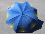 un parapluie bleu et jaune posé par terre
