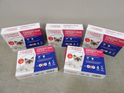 four boxes of catnip for small cats sitting on a table