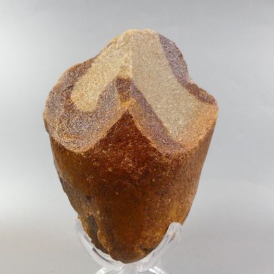 Archéologie. Préhistoire saharienne.