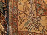 a cat that is sitting on a rug on the floor