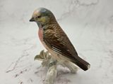 a small bird that is sitting on a small branch