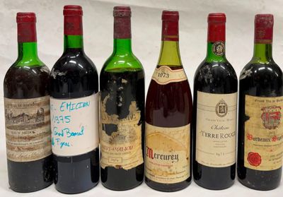 plusieurs bouteilles de vin sont alignées dans une rangée