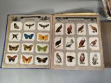 an open book with pictures of birds and butterflies on it