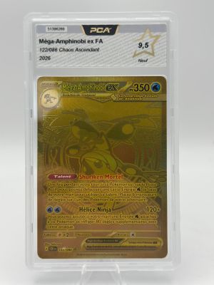 gros plan d'une carte pokemon dans un étui en plastique