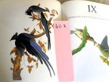deux oiseaux perchés sur un livre