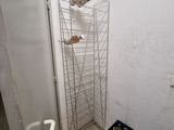 a bathroom with a toilet and a rack with bottles