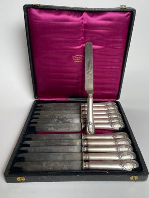 a case with six knives in it and a knife in it