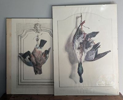 two pictures of birds hanging on a wall next to each other