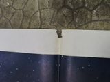 an open book with a picture of a cat on it