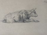 a drawing of a cow laying down on the ground