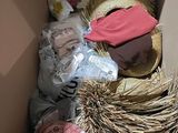 a cardboard box with a pile of items inside of it