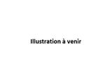 Photo 1/1 du lot