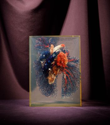 une photo d'une carte sur laquelle figure l'image d'une femme