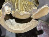 Photo 2/2 du lot
