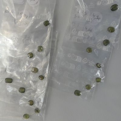 a bag of seeds and a bag of seeds on a table