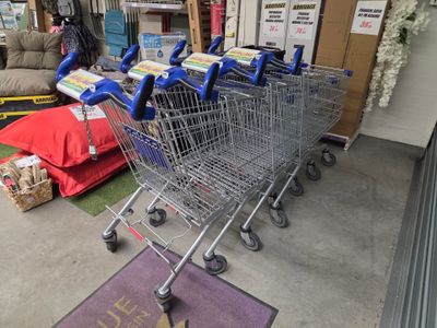 de nombreux caddies alignés dans le magasin
