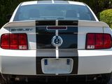 a white mustang with a black stripe on the back of it