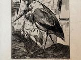 un dessin en noir et blanc représentant un oiseau posé au sol