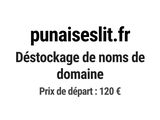 Photo 1/1 du lot