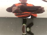 Photo 20/22 du lot