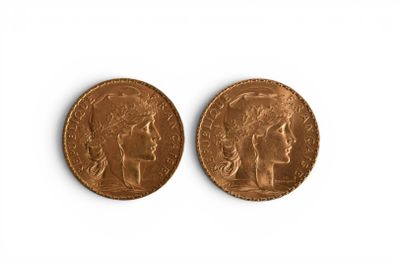 two pieces of gold coin on a white surface