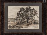 an image of a drawing of a tree on a hill