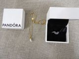 a close up of a box with a necklace in it