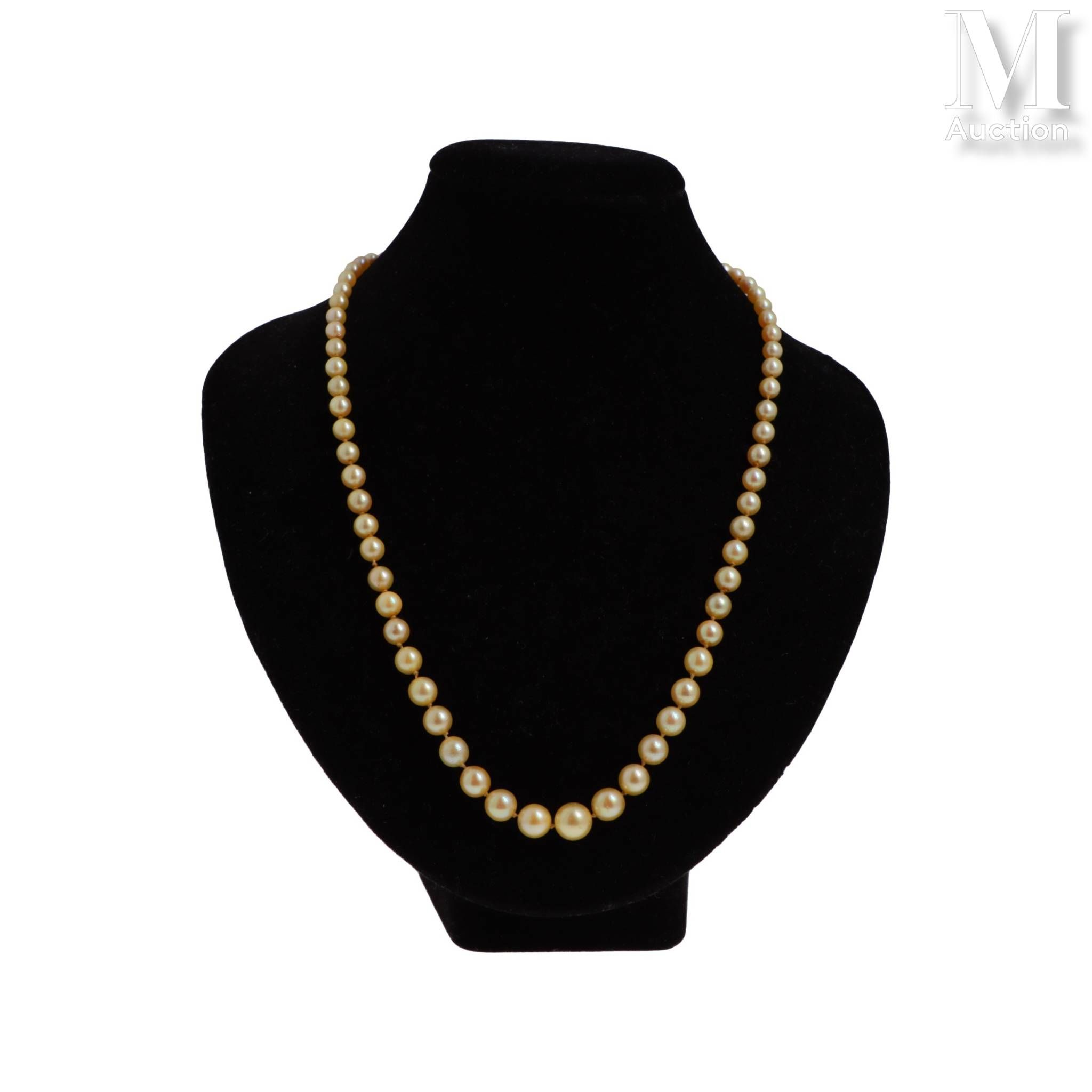 Bijoux & Pierres Précieuses