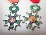two medals are displayed on a white surface with a red ribbon