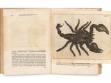 un livre ouvert sur lequel est dessiné un scorpion