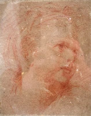 portrait of a woman ' s head in red chalk on a brown paper
