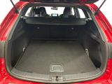the back of a red car with its trunk open showing the cargo area