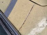 a cat sitting on the hood of a car
