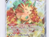 gros plan d'une carte pokemon dans un étui en plastique