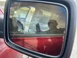 reflet d'un chien dans le rétroviseur latéral d'une voiture rouge