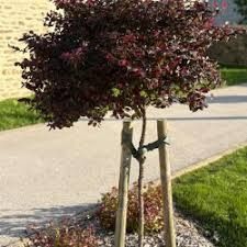 Destockage & Invendus