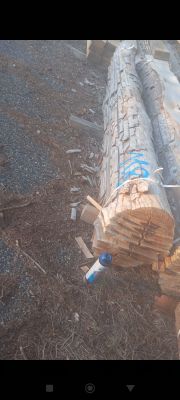 un gros morceau de bois posé par terre