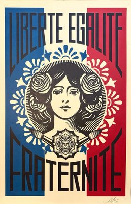 an image of a poster with a woman ' s face on it