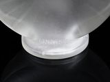 a clear glass vase with a white base on a black surface