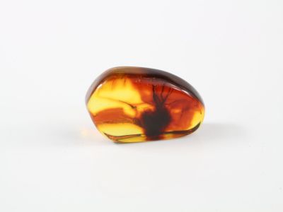 un gros plan d'un objet en verre jaune et marron posé sur une surface blanche