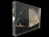 a glass display case with a fan inside of it
